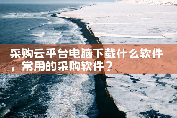 采购云平台电脑下载什么软件