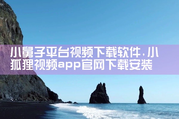 小舅子平台视频下载软件