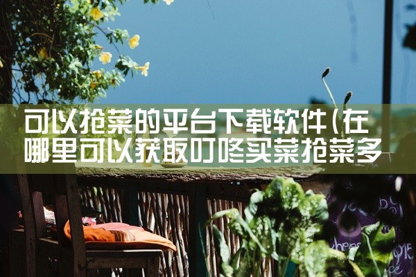 可以抢菜的平台下载软件