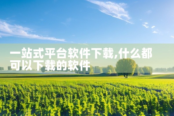 一站式平台软件下载