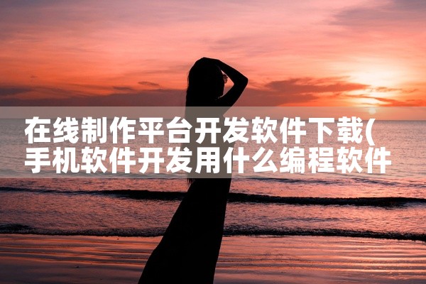 在线制作平台开发软件下载