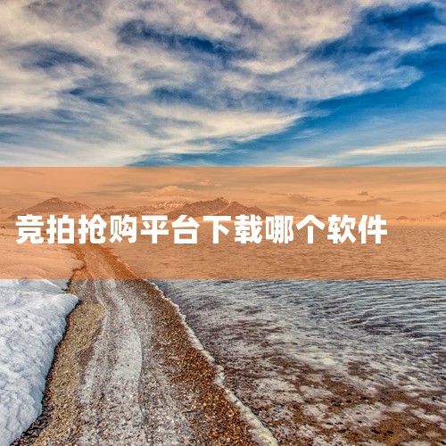 全拍网App：由全拍网科技(深圳)有限公司开发，定位为综合性互联网O2O拍卖平台，覆盖委托拍卖、自主拍卖、海关拍卖等多元化交易场景。其服务对象广泛，支持政府、机构、企业及个人资产线上处置，商品模块涵盖|
