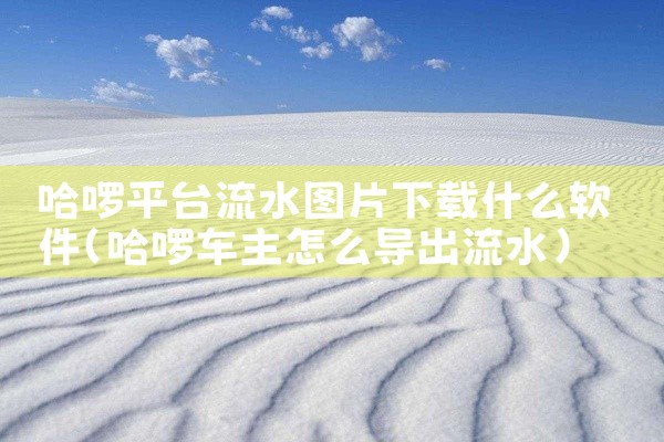 哈啰平台流水图片下载什么软件