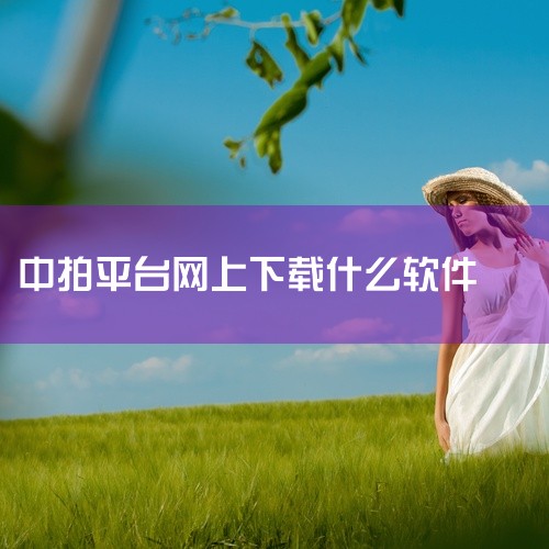 《中拍平台app下载》是一款面向拍卖参与人群的移动端应用,主要提供拍卖信息浏览、在线竞价、出价管理等核心功能。界面布局比较直观,分类清晰,新手也能较快上手,不过涉及竞拍操作还是建议先熟悉一下规则。平台,