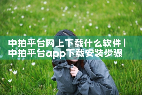中拍平台网上下载什么软件