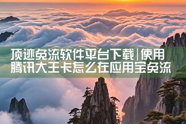 顶迹免流软件平台下载