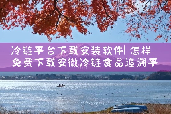 冷链平台下载安装软件