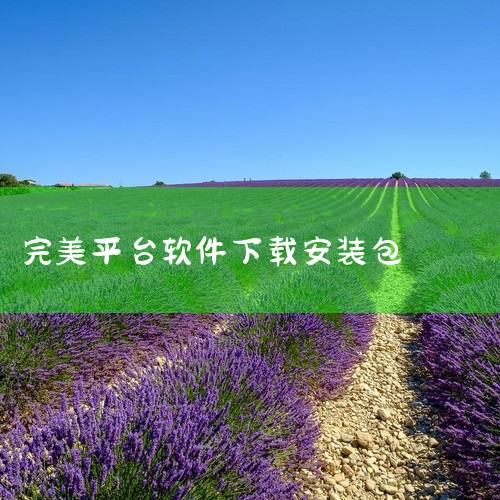 《完美平台手机app下载》是一款面向游戏玩家的辅助工具软件,主要提供游戏资讯浏览、战绩查询和社区互动等功能。界面设计走的是简洁路线,分类清晰,打开就能找到自己需要的功能入口,不用花时间摸索。安装包体积|