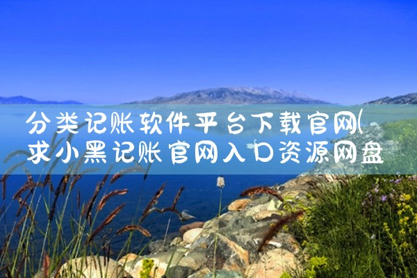 分类记账软件平台下载官网