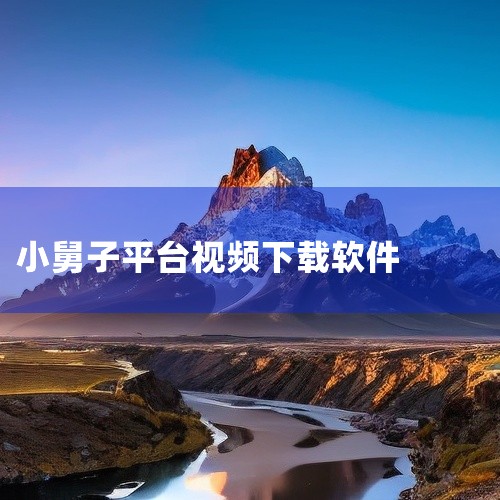 一.首先我们我们在APP上找到相应作者进入他的主页 之后我们点击分享 复制链接二.接下来我们在电脑上打开链接复制一网址三 我们把刚复制的网址复制大仙视频下载工具这个软件中，点击作者作品下载 粘贴刚我们|