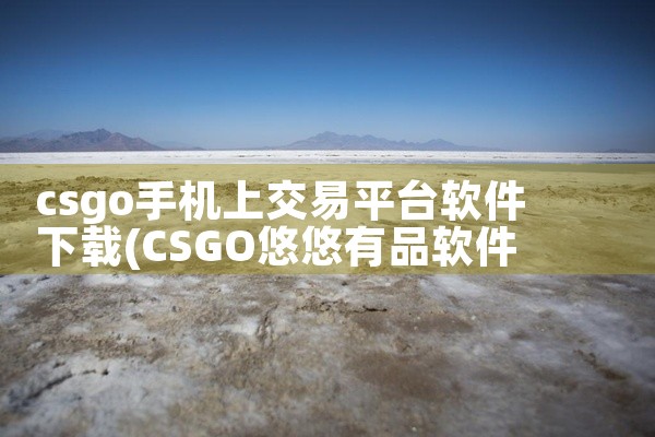 csgo手机上交易平台软件下载