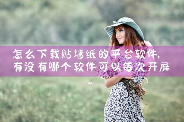 怎么下载贴墙纸的平台软件