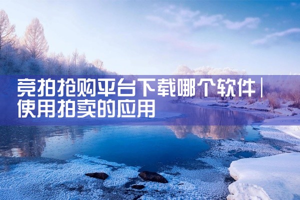 竞拍抢购平台下载哪个软件