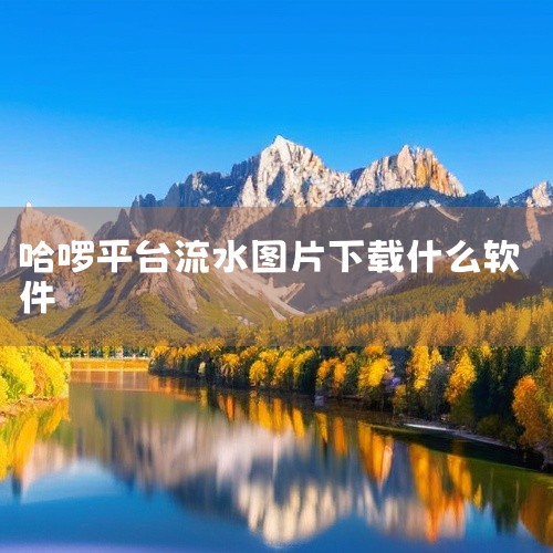 个人中心页面滑动查找。消费记录仅显示通过哈啰平台完成的交易，第三方支付渠道的消费需通过对应支付软件...|