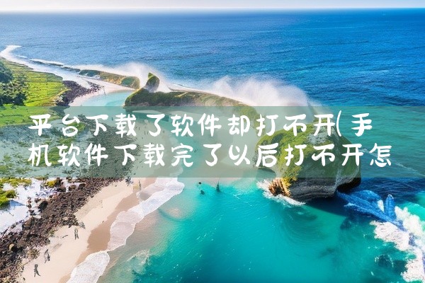 平台下载了软件却打不开