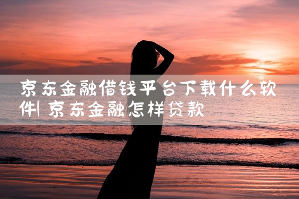 京东金融借钱平台下载什么软件